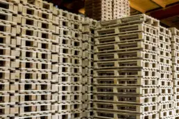 Palets de madera: opción más sostenible en transporte y almacenamiento