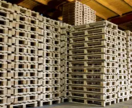 Palets de madera: opción más sostenible en transporte y almacenamiento